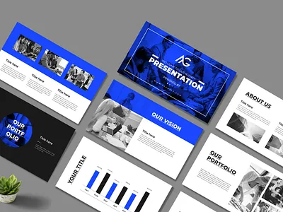 Business Presentation Template professional