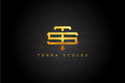 Terra Scolex abstract logo branding business logo classic logo corporate logo creative logo dynamic logo flat logo geometric logo graphic design illustration logo logo design luxury logo minimalist logo modern logo monogram logo symbolic logo trendy logo