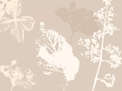 beige botanical background artistic background beige bohemian boho botanical design earthy floral herb illustration paper pastel pattern print soft textures wildflower