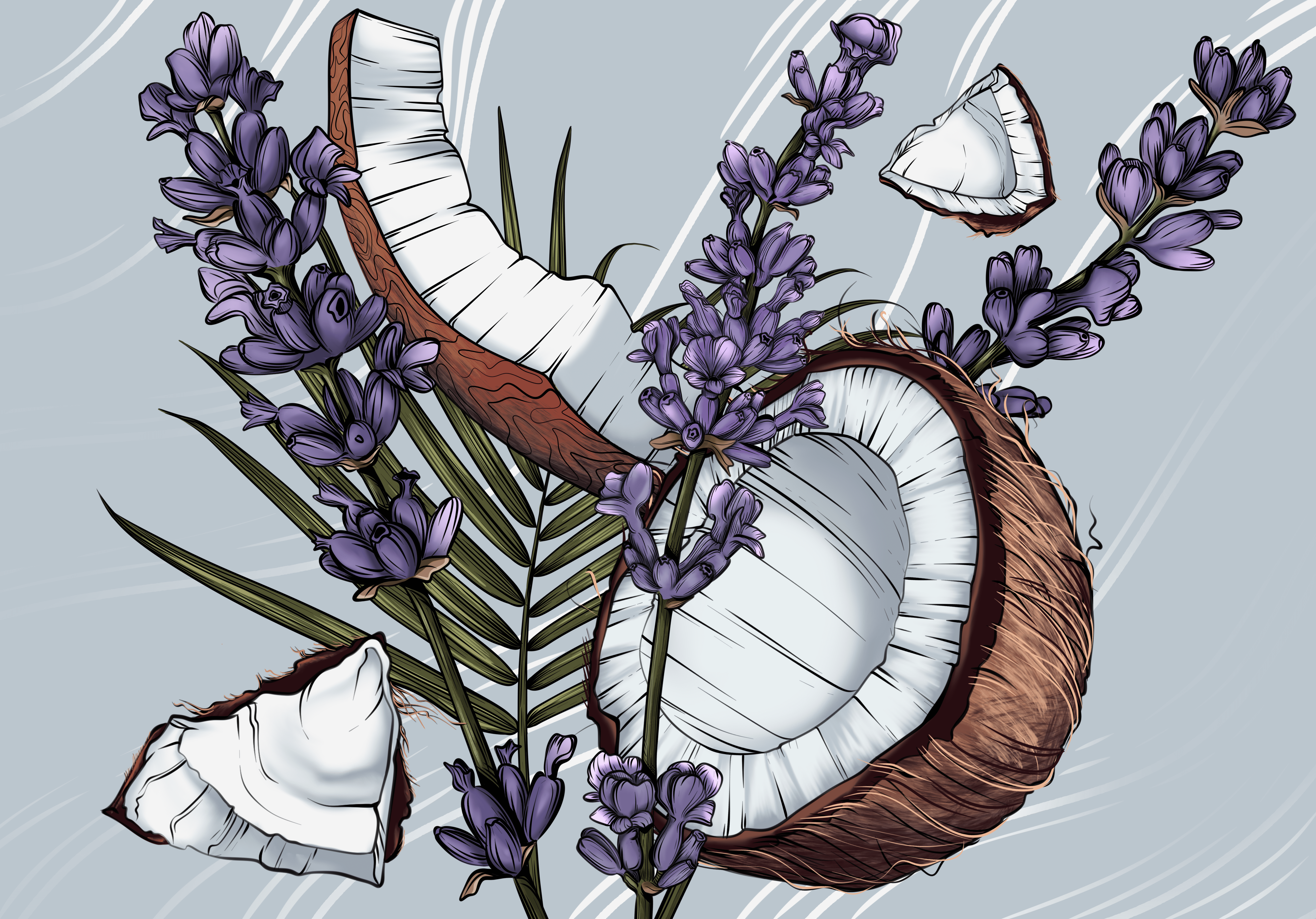 Coconut & Lavender beer can branding can design graphic design illustration pack package packagenign design tonic water