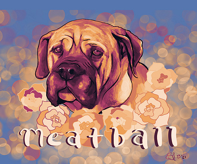 Meatball digitalpainting petportraits procreate