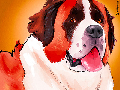 Saint Bernard petillustration petportrait procreate