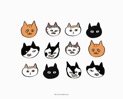 Cat avatar avtar branding cat cats cute graphic design illustration kitten pet
