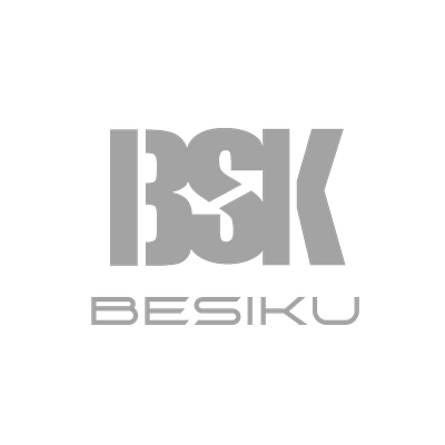 Besiku branding graphic design logo