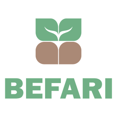 Logo BEFARI graphic design logo