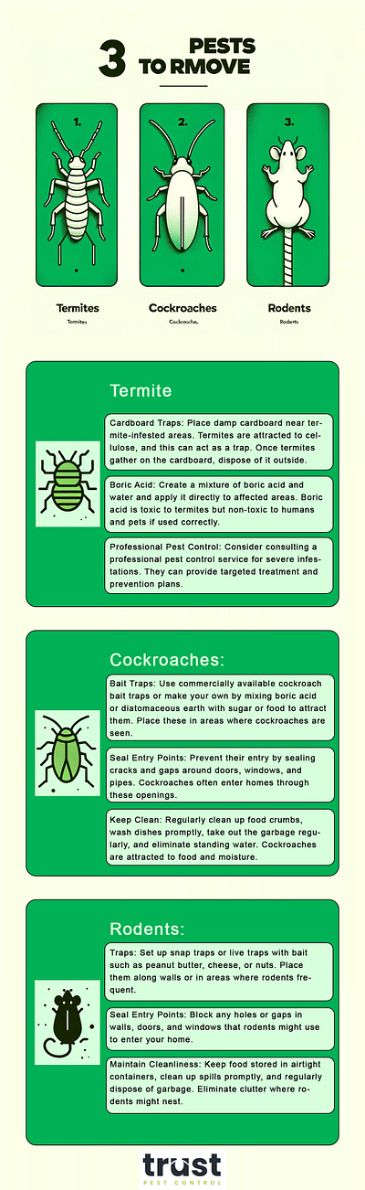 Pest Control Infographics graphic design infographics pestcontrol