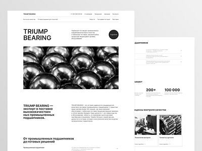 Monochrome precision: TRIUMPH BEARING website concept branding design industrial landing minimalist monochrome page precision typography ui ui ux design user experience web web design