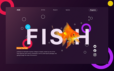 creative design design figma graphic design website design