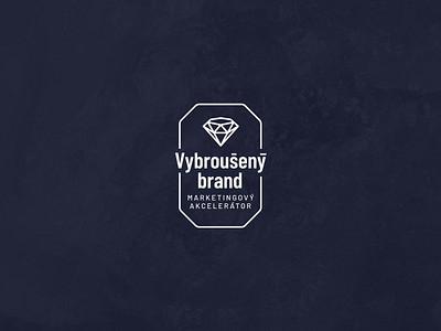Vybrouseny Brand agency blue brand branding czechia identity logo marketing
