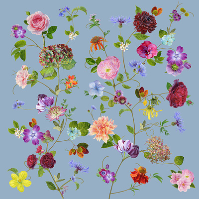 Goop branding carolyn jenkins design digital floral folioart illustration packaging painting realist watercolour