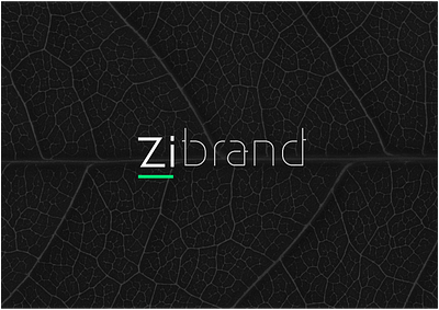 Zibrand Branding Studio adv branding designer graphic design logo logodesign logotype