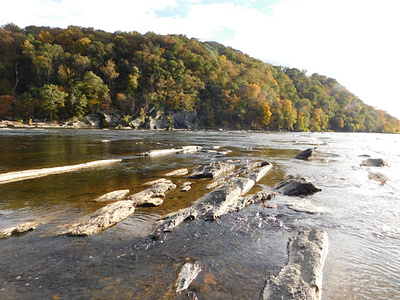 Fall in Charles Town photography