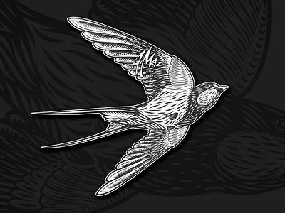 Flying swallow. Vector illustration artist bird black and white design engraving ethcing graphic hand drawing illustration illustrator line art linocut mascot no ai retro sticker swallow tattoo vector vector art