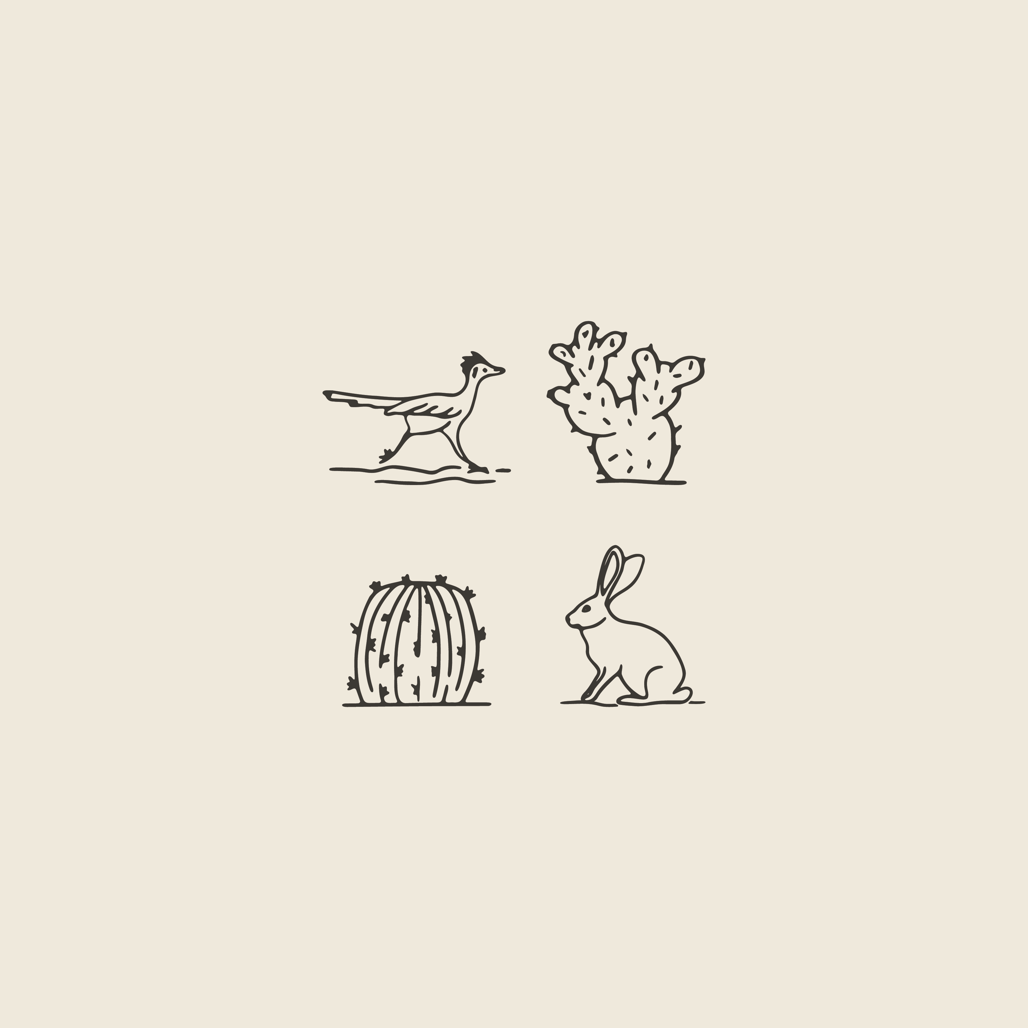 Texas Fauna and Flora Illustrations design digital art digital illutration graphic design illustration