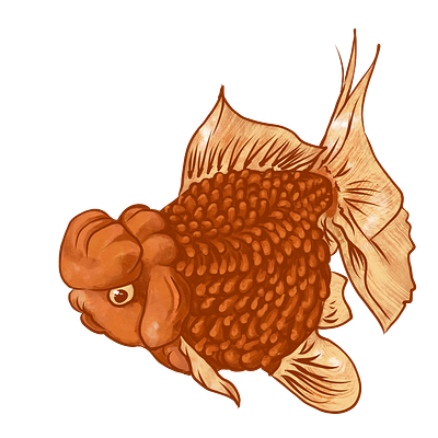 Smokin' Goldie fish goldfish illustration vector