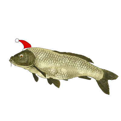 Holiday Carp adobe carp christmas comedy fish fishing fresco holiday humor illustration santa santa hat seasonal vector