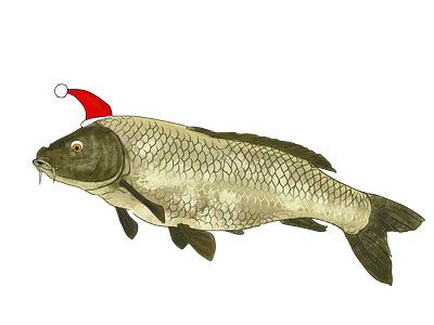 Holiday Carp adobe carp christmas comedy fish fishing fresco holiday humor illustration santa santa hat seasonal vector