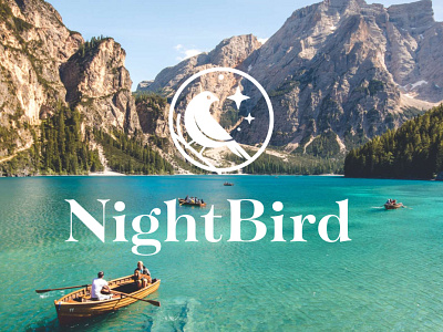Nightbird UI/UX Design agency brand guide brand identity brand manuel branding design graphic design illustration logo nature travel