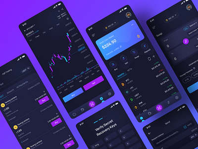 DinarsPay - Crypto wallet mobile applications saas mobile app