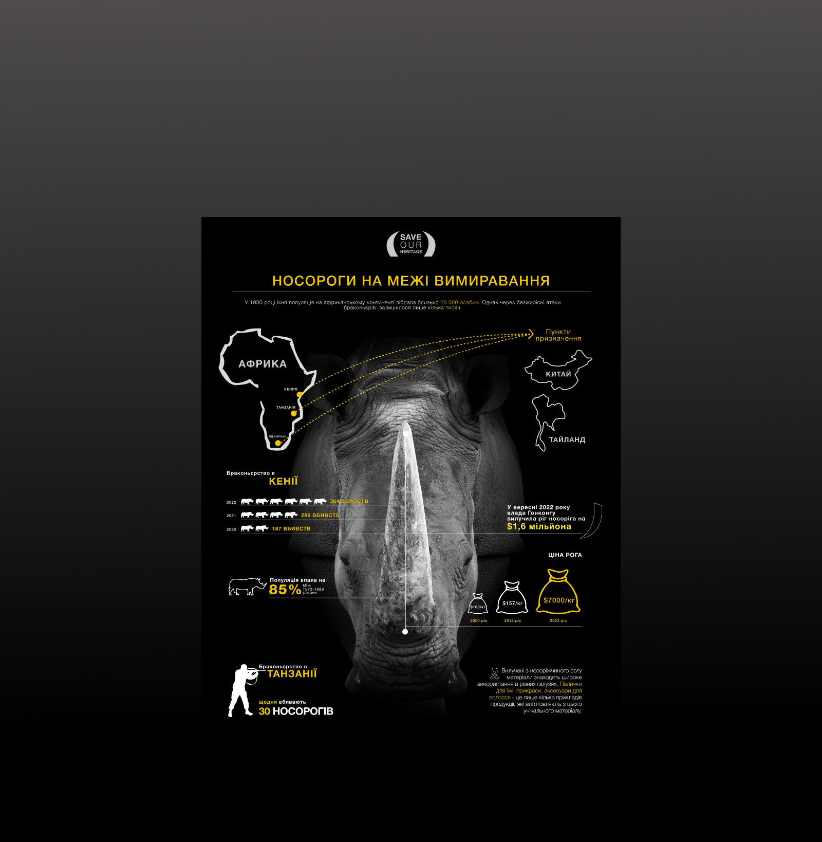 Infographic about poaching for rhinos браконьєри важливий дизайн веб дизай веб дизайнер дизайн дизайнер креативність носоріг інфографіка ієрархія