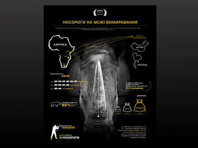 Infographic about poaching for rhinos браконьєри важливий дизайн веб дизай веб дизайнер дизайн дизайнер креативність носоріг інфографіка ієрархія