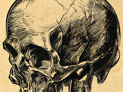 SKULL ART digital art illustration inking nft skull skull art