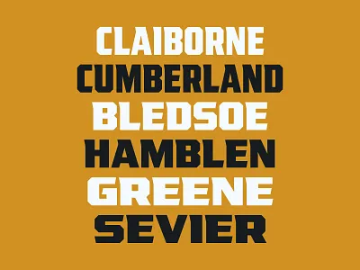 VT League WIP custom font font font design graphic design sports sports branding sports font tennessee type typography