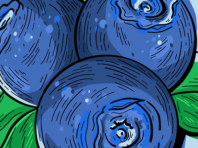 Fruit Illustration - Blueberry berry blue blueberry carving design digital drawing digital illustration drink engraving etching flavor food fruit hand drawn hand illustration illustration line art lino packaging vintage