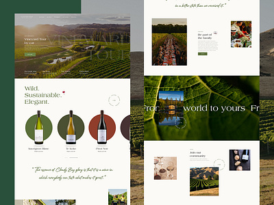 Cloudy Bay Vineyards - LVMH art direction bottles cloudy bay ecommerce elegant graphic design green interaction interface lvmh product design shop ui ui design user interface web design website wine winery wineyard
