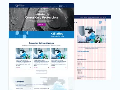 WEB ICP ui web design