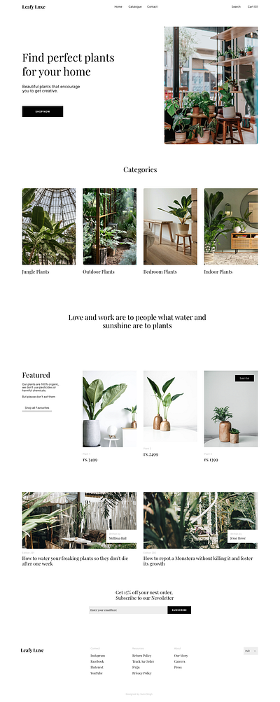 Leafy luxe: Plant E shop colors dribbble eshop graphic design luxury plant ui ux website