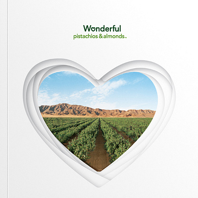 Wonderful Pistachios & Almonds branding design graphic design illustration photo direction typography vector