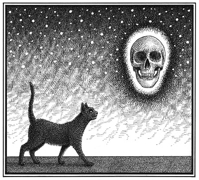 Follow Your Star art artist artwork cat drawing hand drawn horror illustration ink night scary skull stars