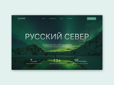 Landing page | Nordic tour design e commerce homepage northern lights ui ux webdesign