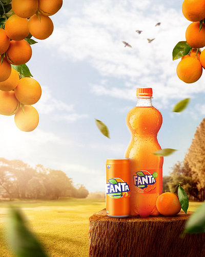 Fanta - Orange Soft Drink Social Media Ads ads branding creative design graphic design logo photo manupulation social media