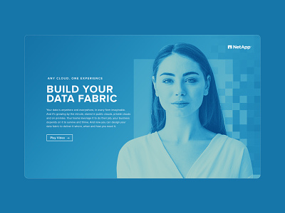 NetApp Data Visionary blue brand branding clean data design digital graphic design identity minimal tech technology ui ui design visual design web web design website website design