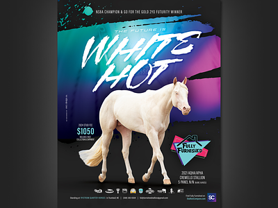 Fully Furnished, AQHA Stallion ad ad designer aqha equestrian equine horse horses magazine ad quarter horse stallion stallion ad white hot