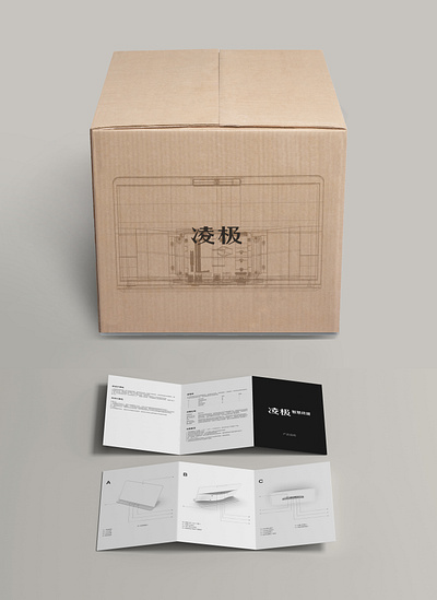 Carton packaging and instruction book graphic design package package design technology