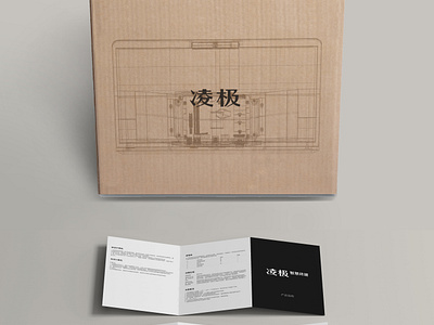 Carton packaging and instruction book graphic design package package design technology