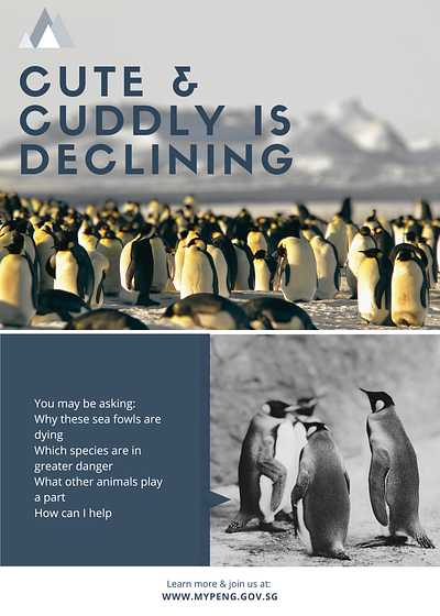 Poster design for social good conservation endangered penguins poster design social media post ui design ux design wildlife