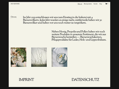 DIE NEKTAREI - Website Design Concept design layout webdesign