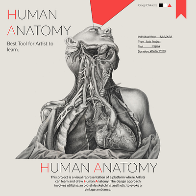 HUMAN ANATOMY/WEB DESIGN/UI/UX art graphic design uiux website