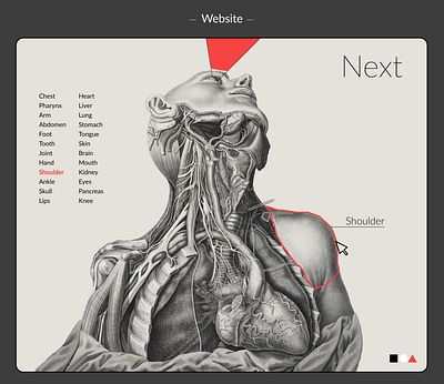 Human Anatomy landing page design landing page ui ux website