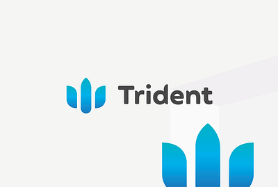 Imaginary Trident branding graphic design logo