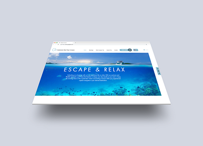 Catamaran Boat Trips - Website Design branding business design freelance graphic design mockup website website building website design wix wix pro