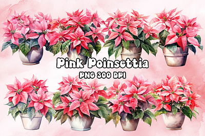 Pink Poinsettia Watercolor bitmap christmas craft design freebies graphic pink png poinsettia printable printing transparent watercolor