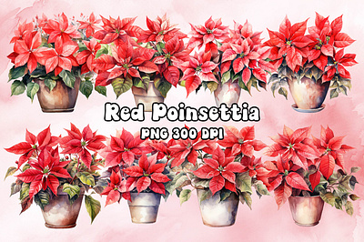 Red Poinsettia Watercolor bitmap christmas craft design freebies graphic png poinsettia printable printing red transparent watercolor