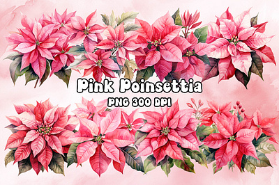 Pink Poinsettia Watercolor bitmap christmas craft design freebies graphic pink png poinsettia printable printing transparent watercolor