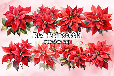 Red Poinsettia Watercolor bitmap christmas craft design freebies graphic png poinsettia printable printing red transparent watercolor