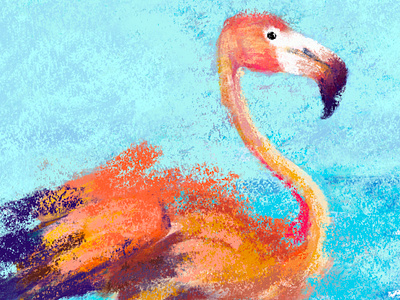 Flamingo Illustration animals digital art illustration procrreate